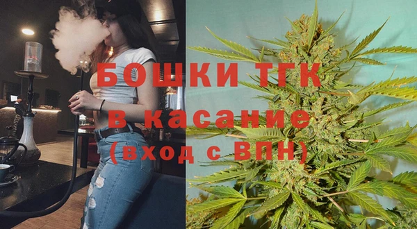 шишки Абинск