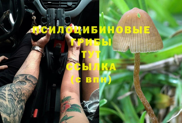 шишки Абинск
