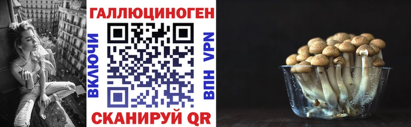 Галлюциногенные грибы мицелий Подольск